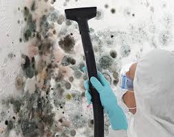 Trusted St Andrews, SC Mold Remediation Experts